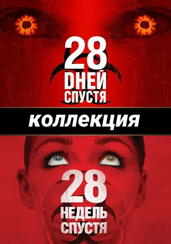 28 дней — постер